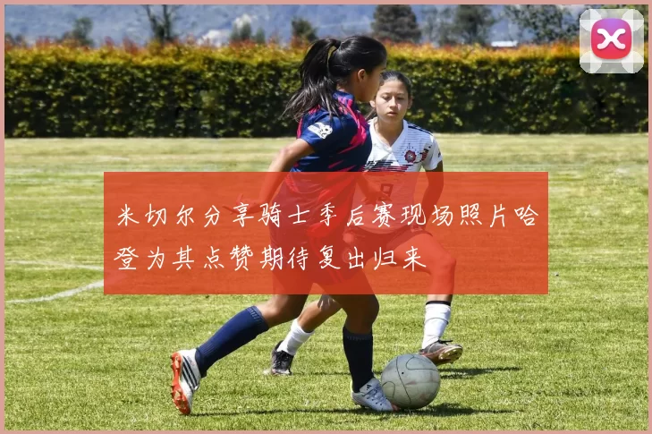 米切尔分享骑士季后赛现场照片哈登为其点赞期待复出归来