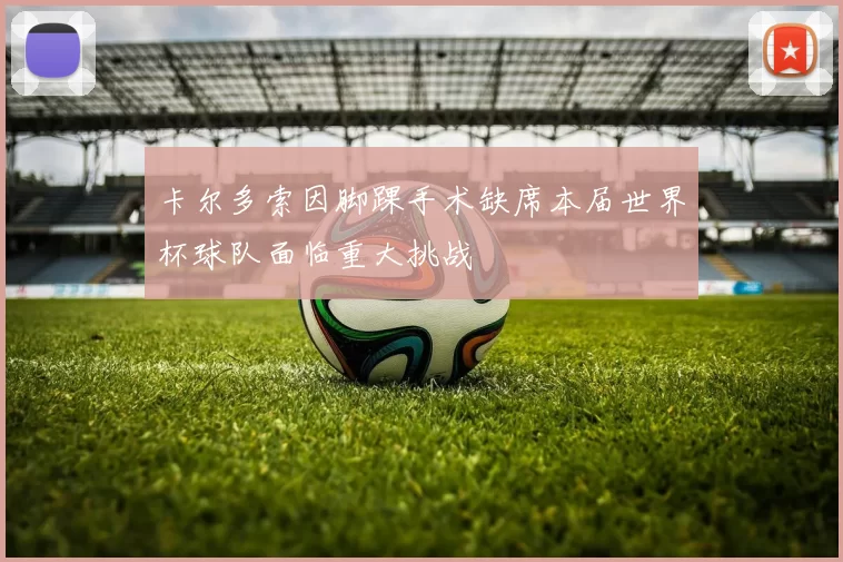 卡尔多索因脚踝手术缺席本届世界杯球队面临重大挑战